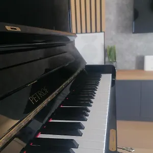 https://piano-penthouse-apartment.hotelinzadar.com